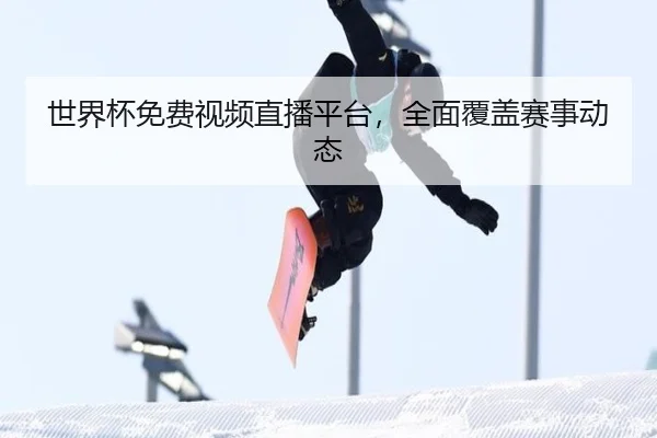 世界杯免费视频直播平台，全面覆盖赛事动态
