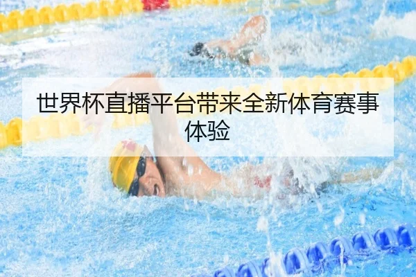 世界杯直播平台带来全新体育赛事体验